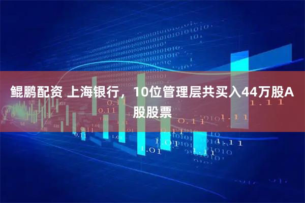 鲲鹏配资 上海银行，10位管理层共买入44万股A股股票