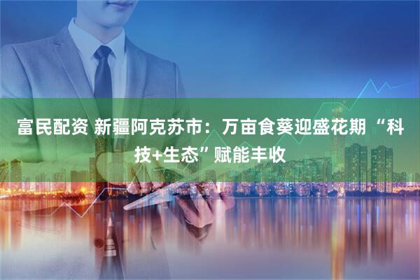 富民配资 新疆阿克苏市：万亩食葵迎盛花期 “科技+生态”赋能丰收