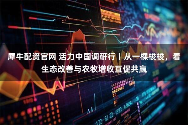 犀牛配资官网 活力中国调研行丨从一棵梭梭，看生态改善与农牧增收互促共赢